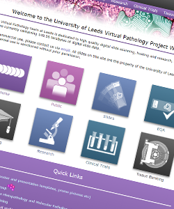 Leeds Virtual Pathology